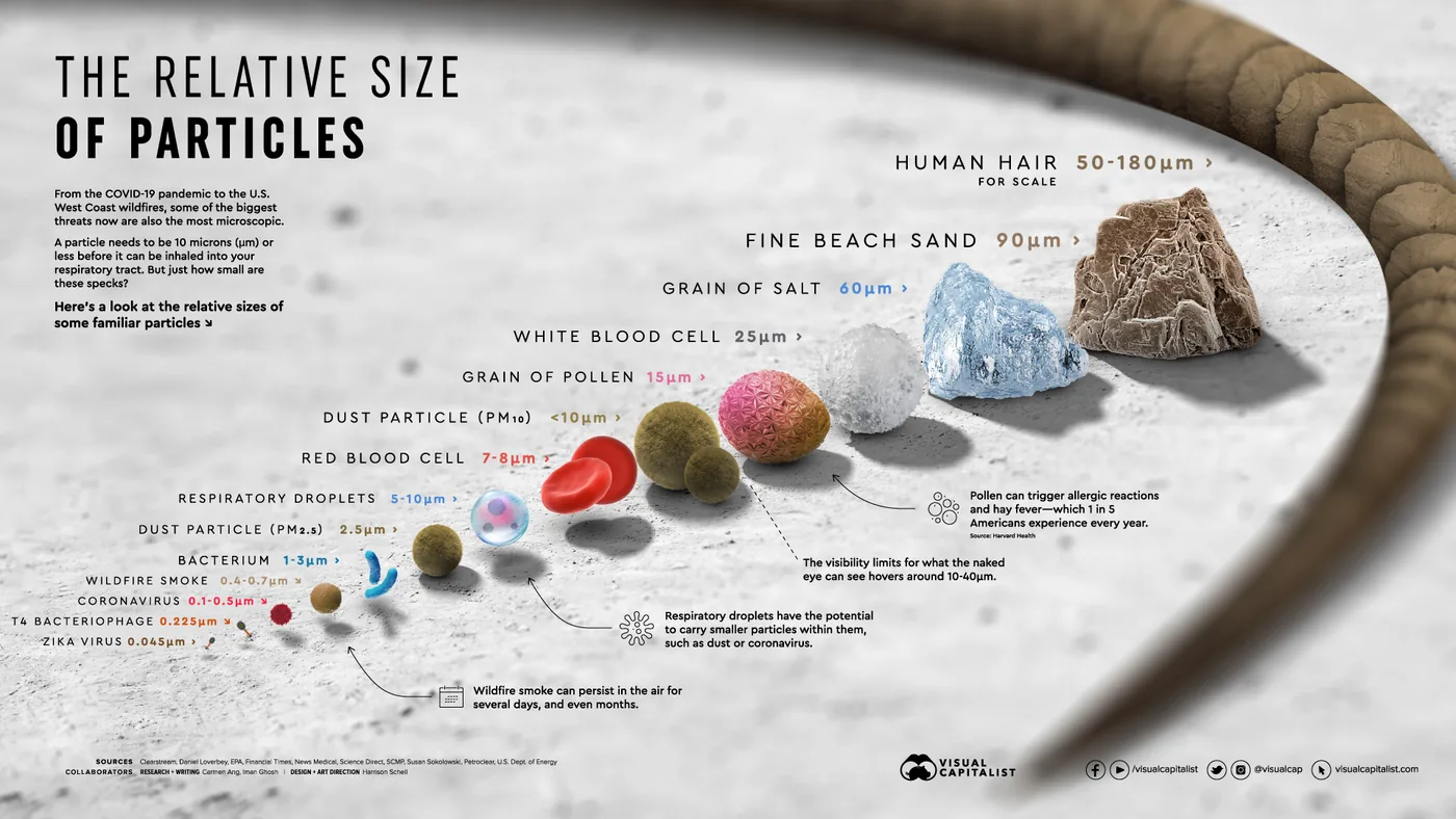 Relative size of airborne particles, from a human hair down to fine dust, bacteria, and viruses