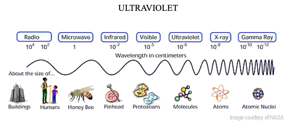 UV-C pathogen inactivator chamber diagram