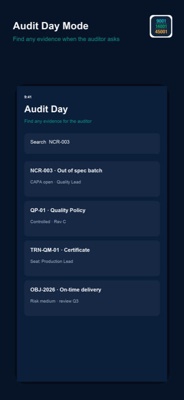 Audit Day search mode